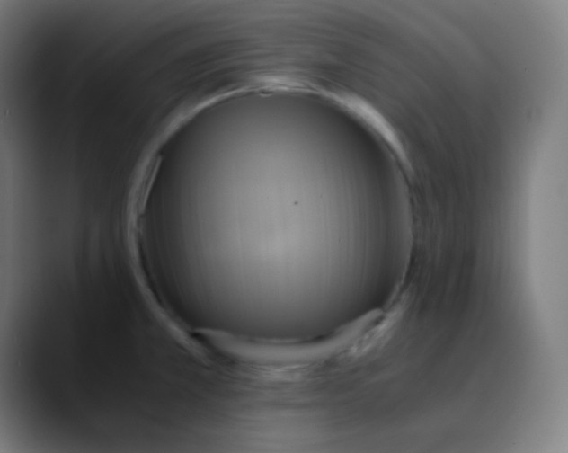 X0000089731381200707121441