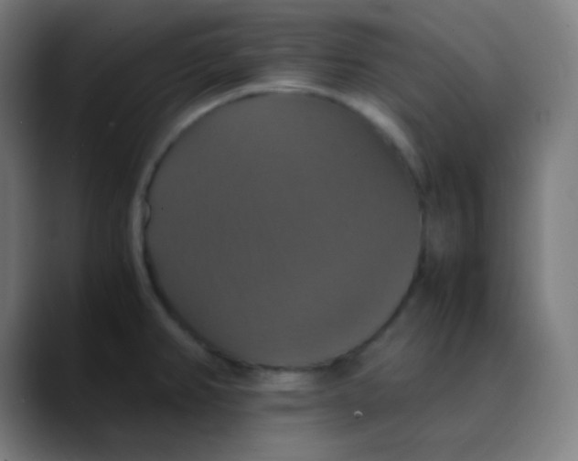 X0000089731382200707121441