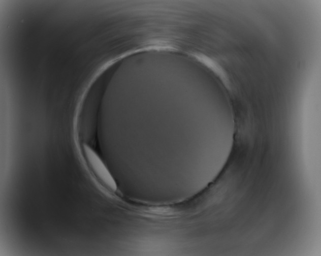 X0000089731383200707121441