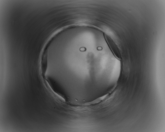 X0000089731384200707121441