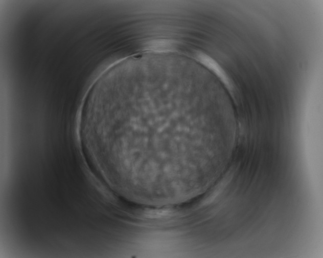 X0000089731386200707121441