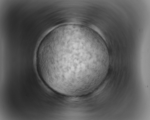 X0000089731387200707121441