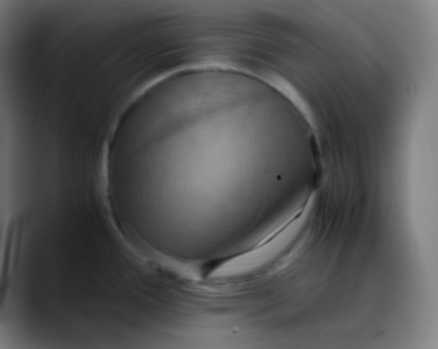 X0000089731388200707121441
