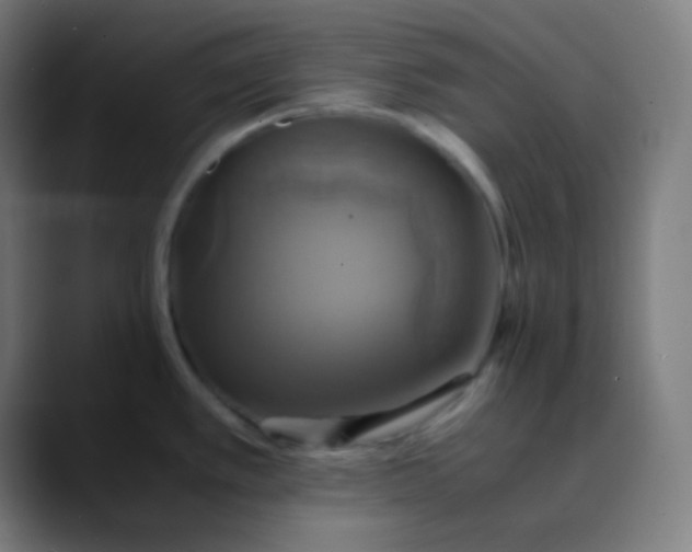 X0000089731389200707121441