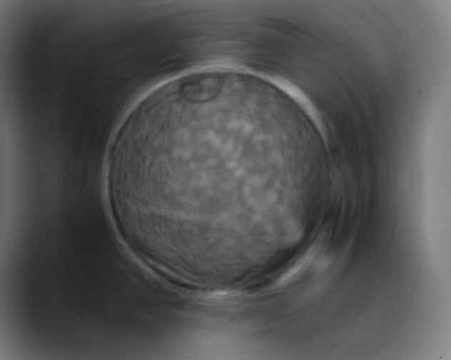 X0000089731390200707121441