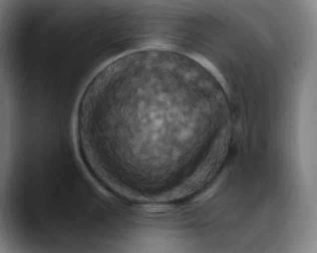 X0000089731391200707121441