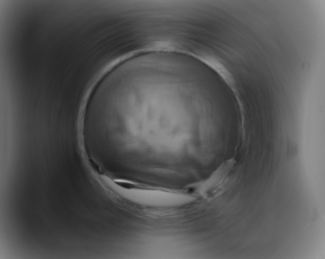 X0000089731392200707121441