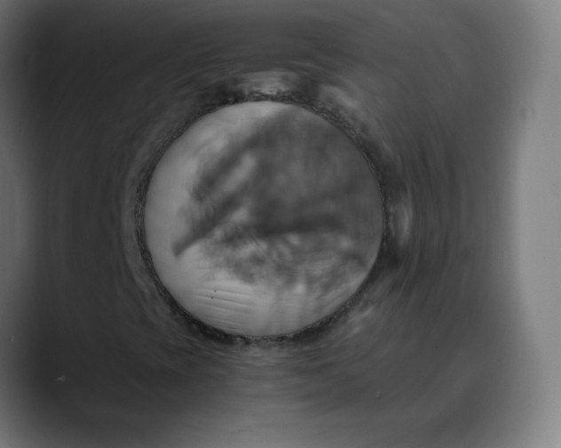 X0000089731393200707121441