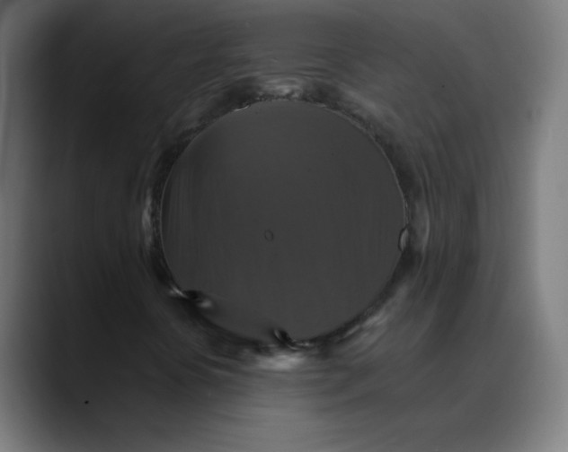 X0000089731394200707121441