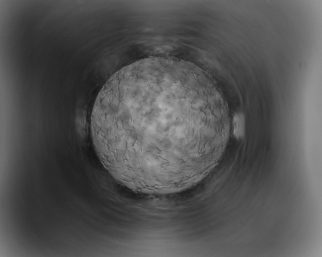 X0000089731395200707121441