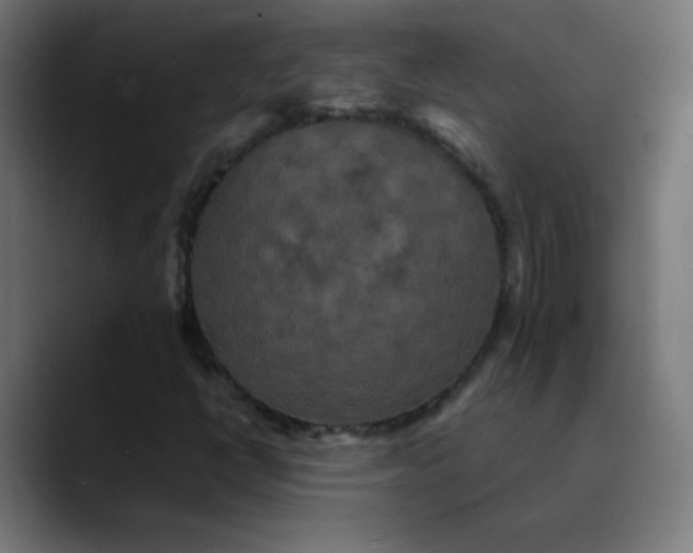 X0000089731398200707121441