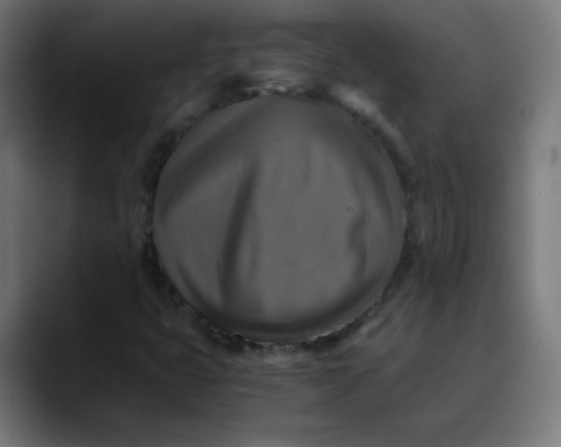 X0000089731399200707121441