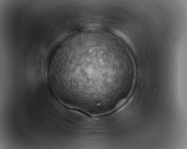 X0000089731403200707121441