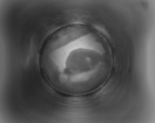 X0000089731404200707121441
