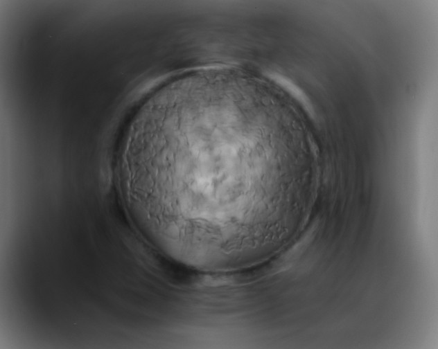 X0000089731407200707121441