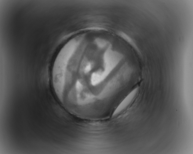 X0000089731408200707121441