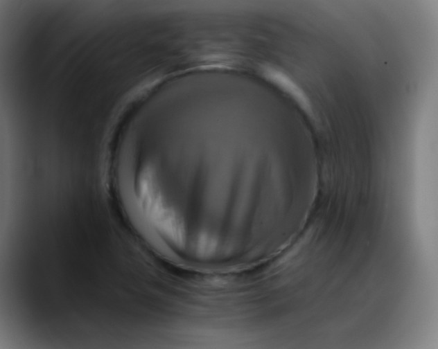 X0000089731411200707121441