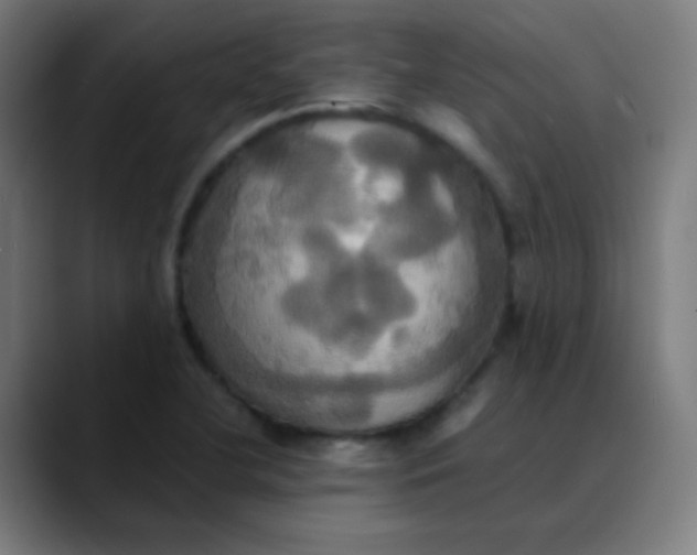X0000089731412200707121441