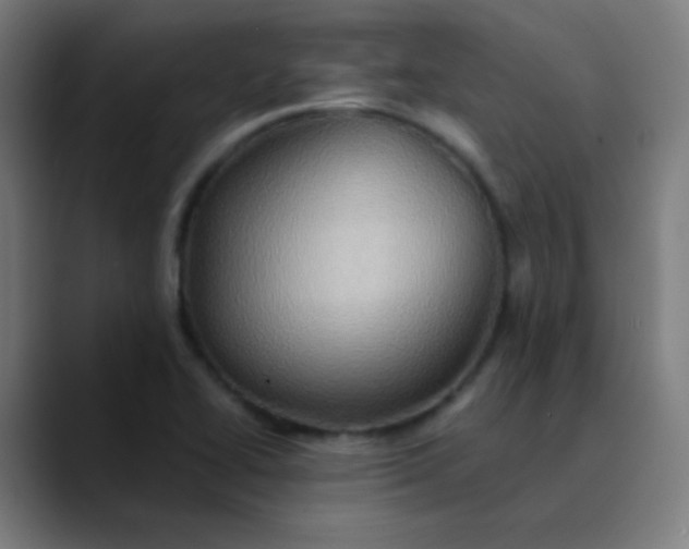 X0000089731414200707121441