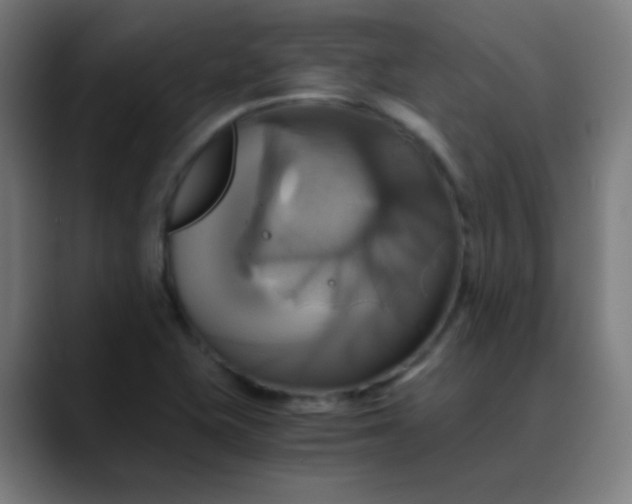 X0000089731415200707121441