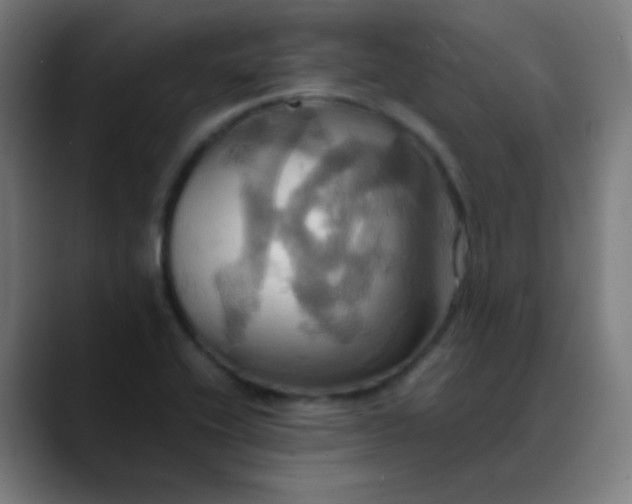 X0000089731416200707121441