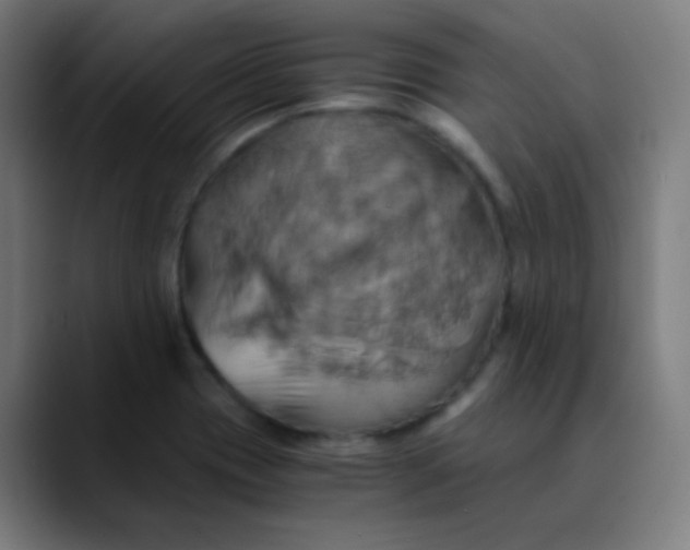 X0000089731417200707121441