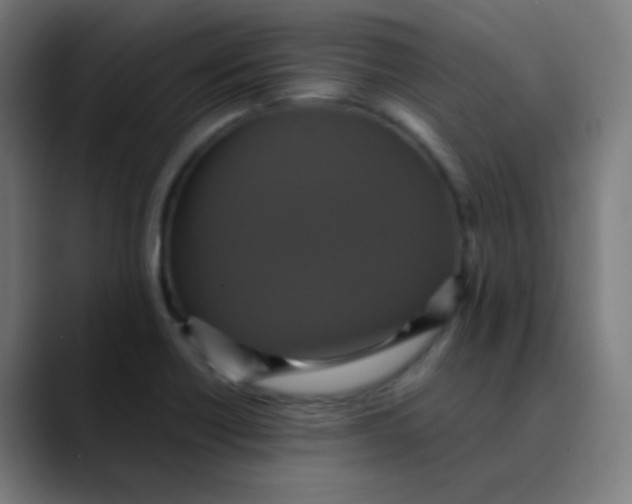 X0000089731418200707121441