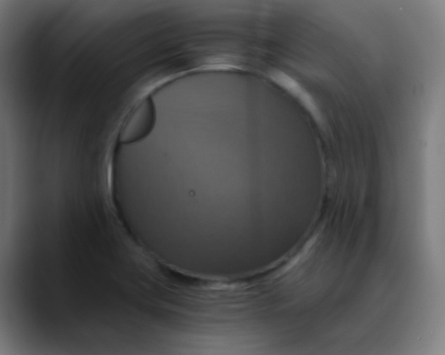 X0000089731419200707121441