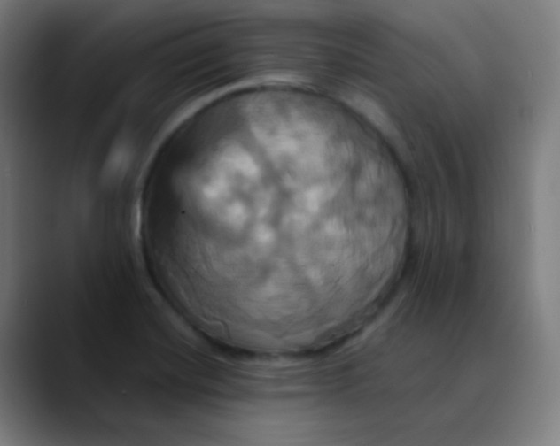 X0000089731420200707121441