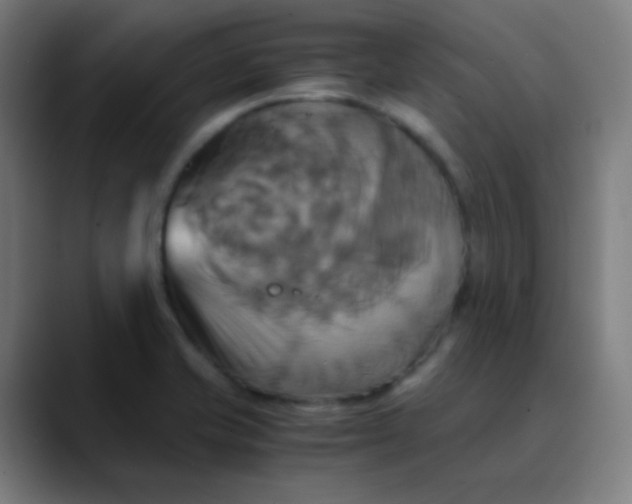 X0000089731421200707121441
