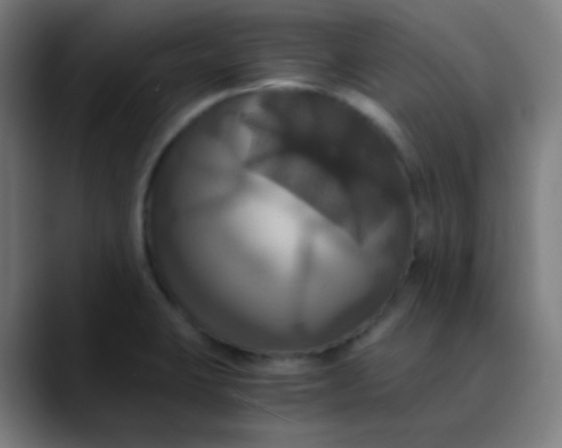 X0000089731423200707121441
