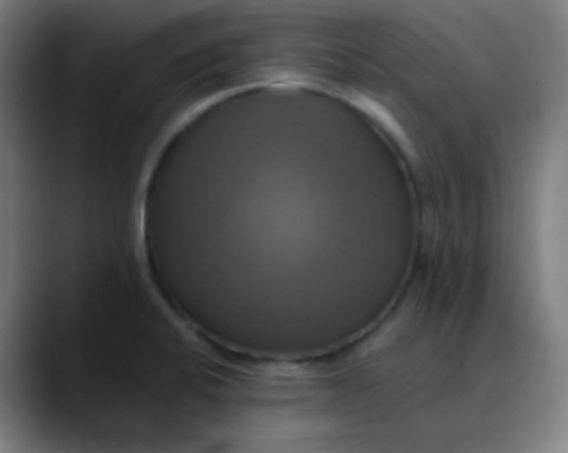 X0000089731424200707121441