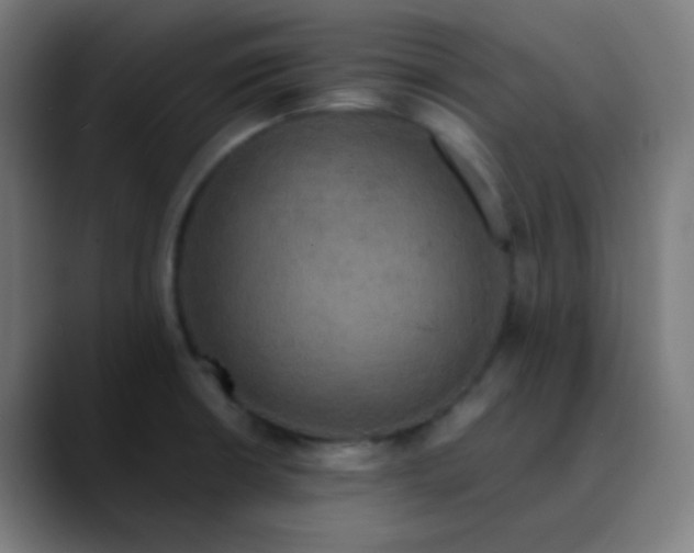 X0000089731426200707121441