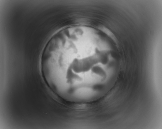 X0000089731431200707121441