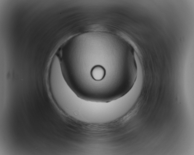 X0000089731434200707121441