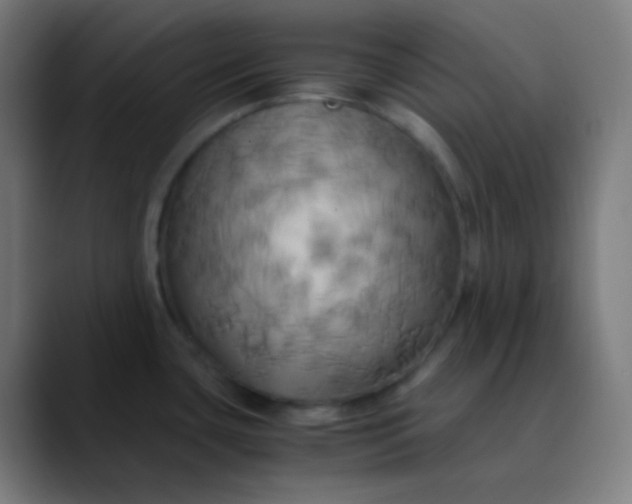 X0000089731435200707121441