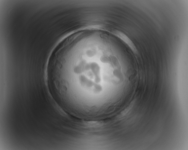 X0000089731436200707121441