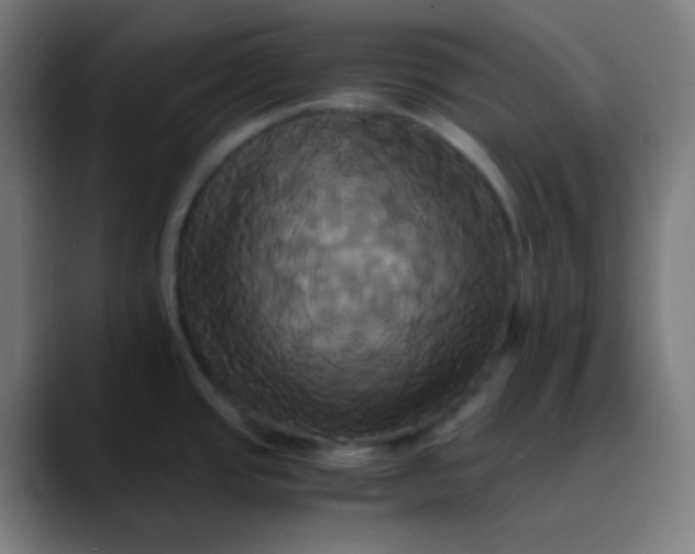 X0000089731437200707121441