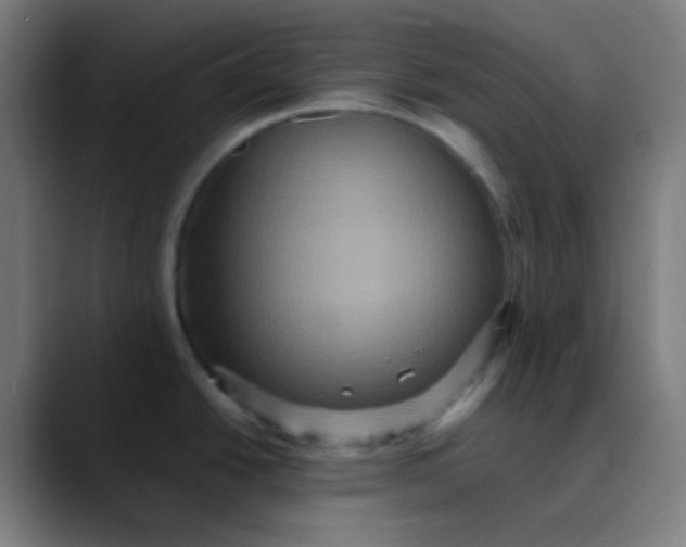 X0000089731438200707121441