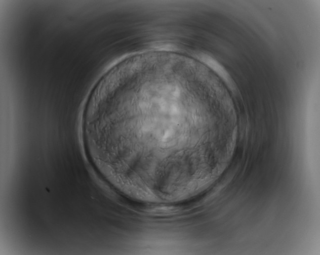 X0000089731439200707121441