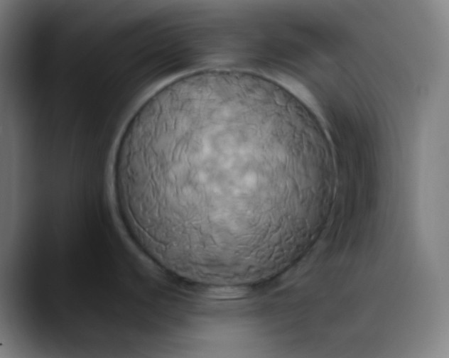 X0000089731440200707121441