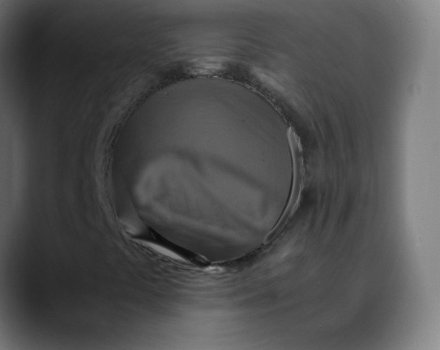 X0000089731441200707121440