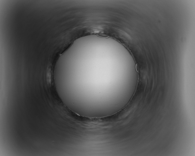 X0000089731442200707121440
