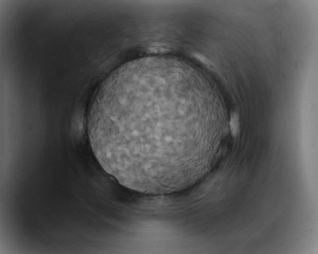 X0000089731444200707121440