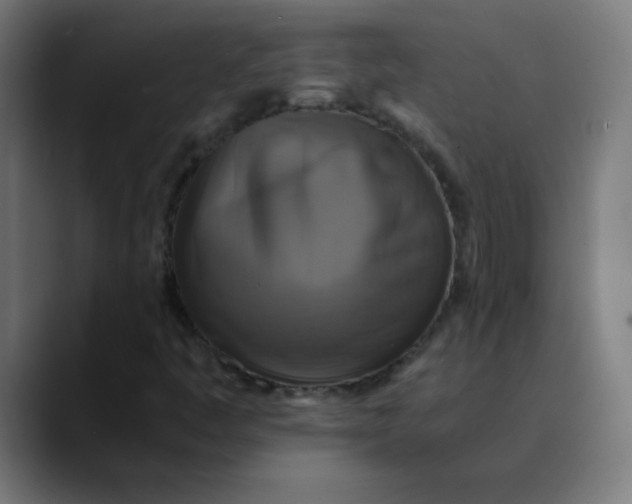 X0000089731445200707121440