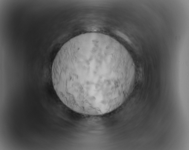 X0000089731446200707121440