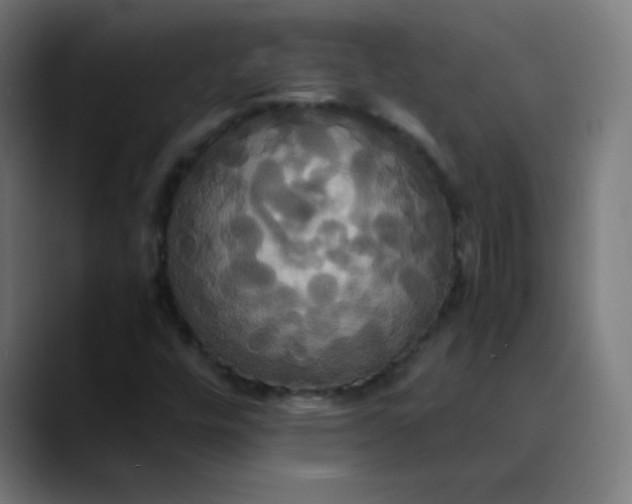 X0000089731448200707121440
