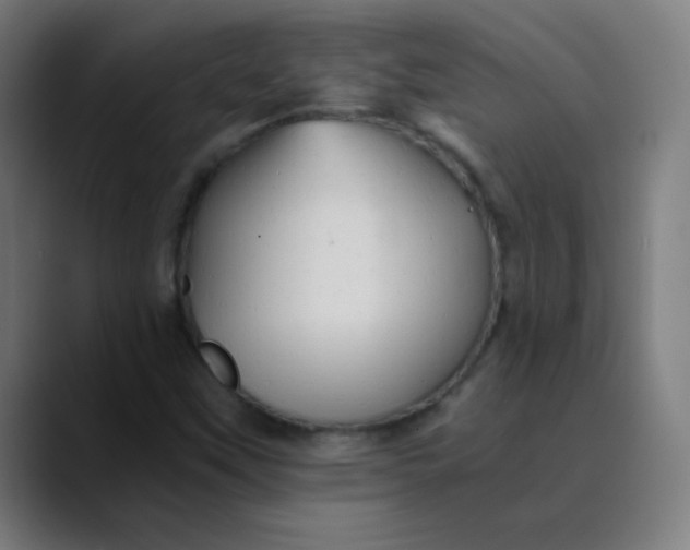 X0000089731451200707121440