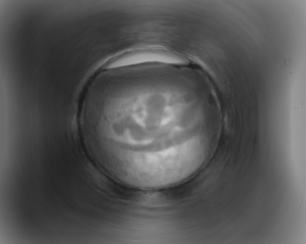 X0000089731452200707121440