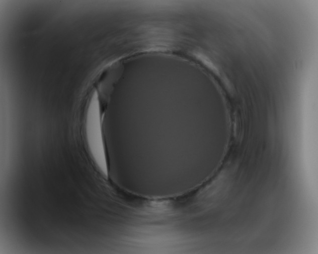 X0000089731453200707121440